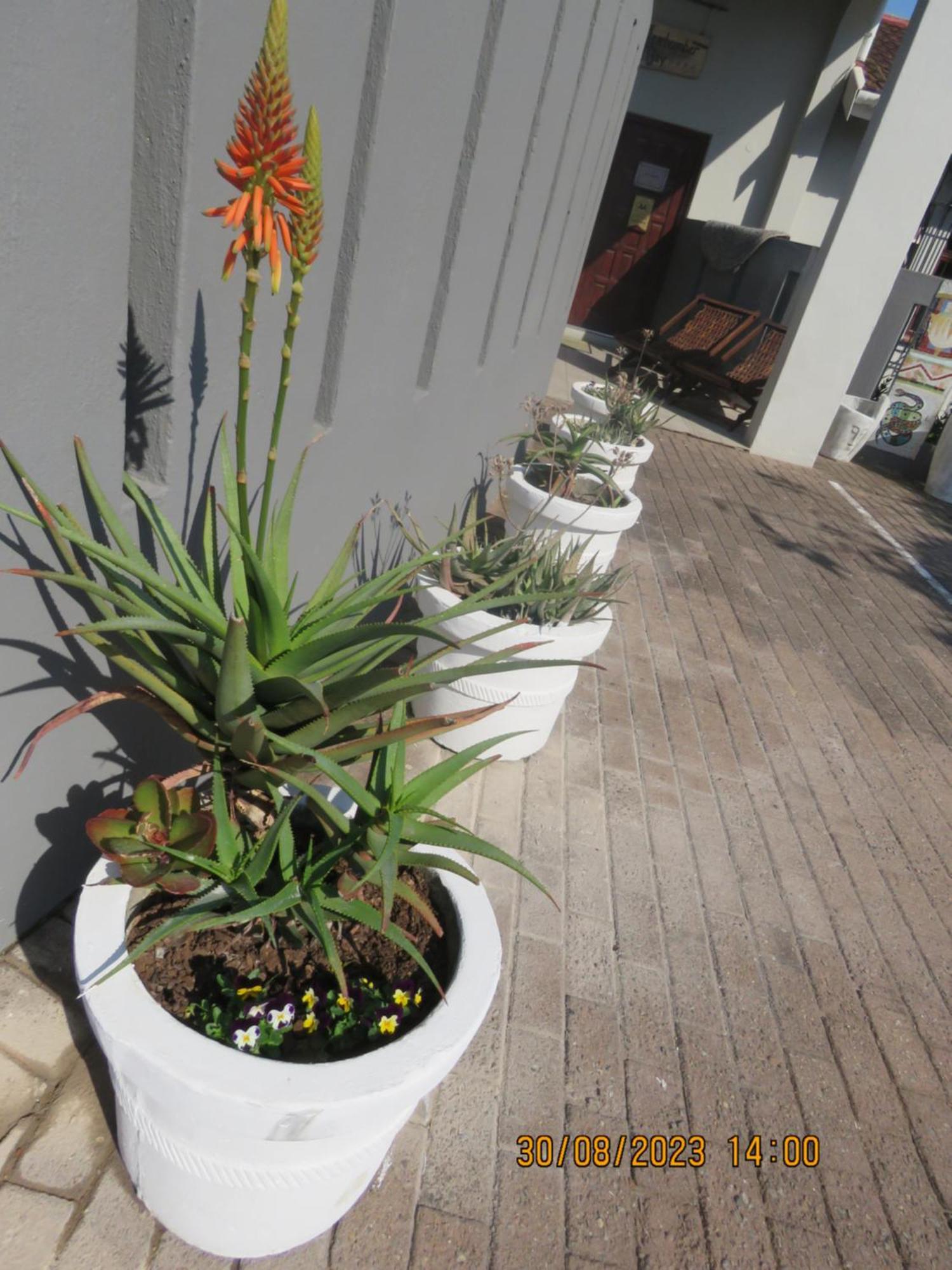 Beachcomber Bay Guest House In South Africa Margate Eksteriør billede