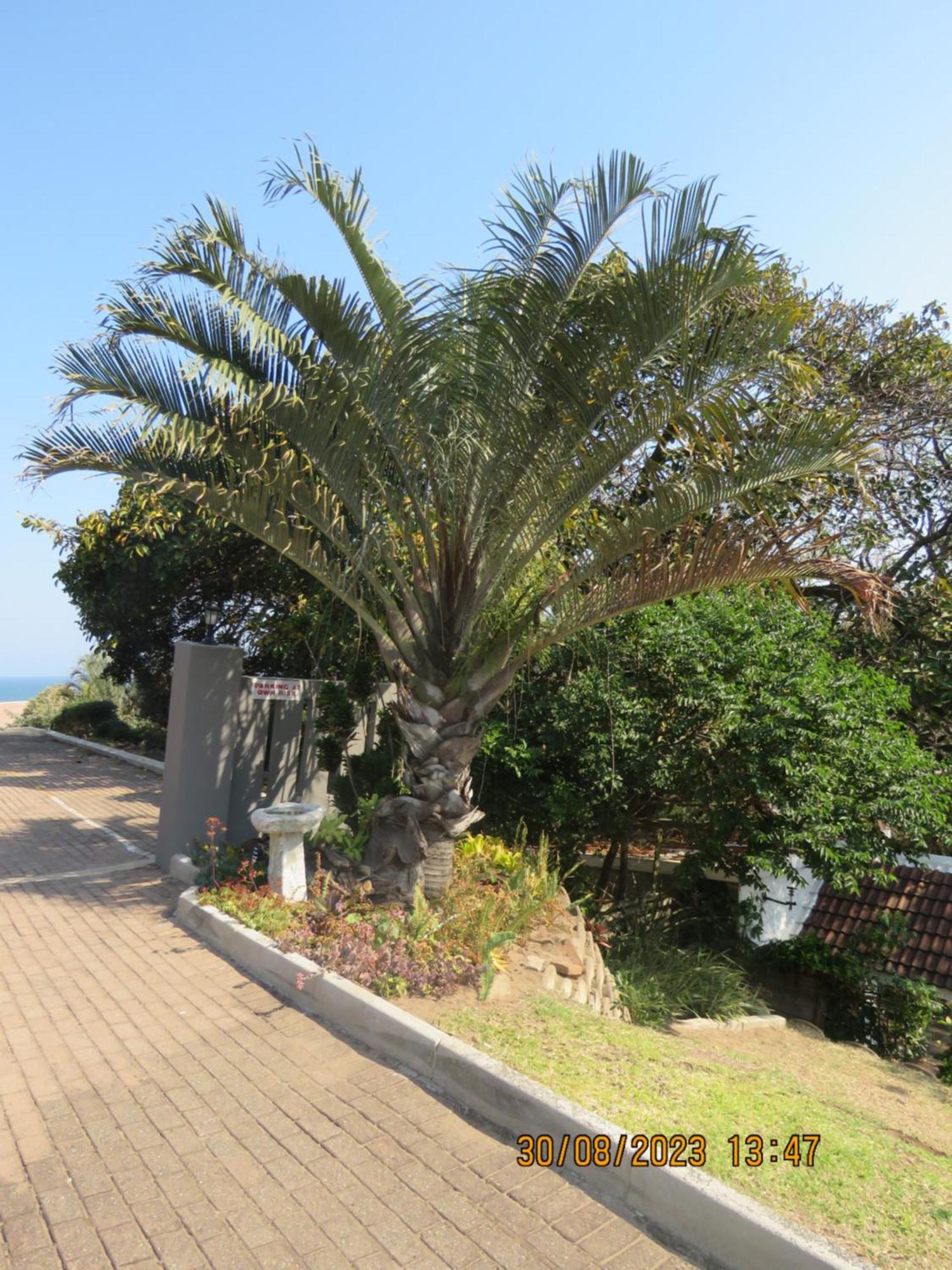Beachcomber Bay Guest House In South Africa Margate Eksteriør billede